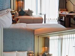 -深圳国际会展中心希尔顿酒店(前海华发冰雪世界店)