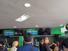 -圣淘沙天际线斜坡滑车