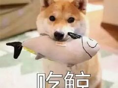 -C'è Amore爱意(亿合城店)