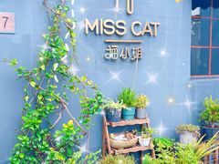 -IFIF 如果花園(宽厚里店)