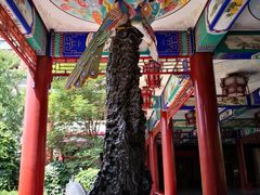 -大明幻境第一城