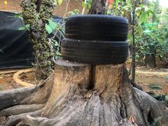 -园林美食城·本土农家菜(杨和镇店)