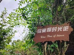 -三亚亚龙湾人间天堂鸟巢度假村