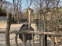 -荆州中山公园动物园