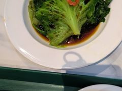 蚝油有机生菜-老广酒楼(樱花店)