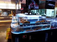 水产区-同庆楼(天鹅酒家店)