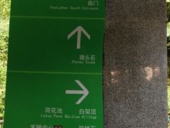 -火炉山森林公园