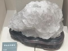 -安徽省地质博物馆