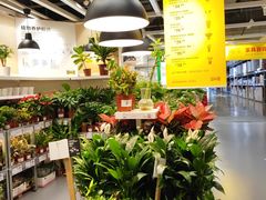 -宜家家居(高新商场店)