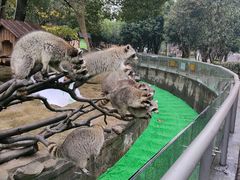 -宁波野生动物园