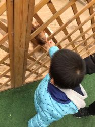 -萌宠亲子动物乐园(槐房万达店)