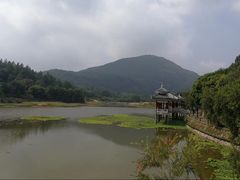 -九鲤湖风景区