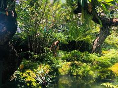 -Chom Cafe and Restaurant