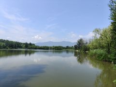 -翠湖国家城市湿地公园