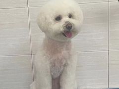 -芭比堂动物医院广州顽皮分院