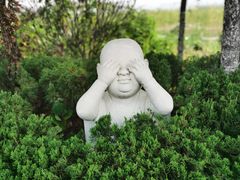 -白佛山景区