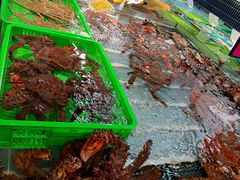-79号渔船海鲜饭店(宝安店)