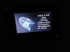 -鹿儿岛水族馆