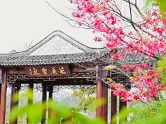 -上海醉白池公园