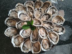 -斯普汇生蚝牛排馆(中骏世界城店)