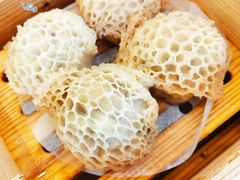 -侨美·唐荔园·40年地道粤菜