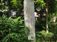 -广州神农草堂中医药博物馆