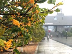-南京工程学院(江宁校区)
