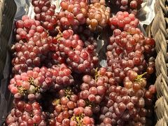 -大润发停车场(闸北店)