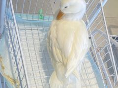 -怪兽屋·羊驼·猫咖·狗咖(俊华广场店)