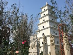 -亚龙湾国际玫瑰谷