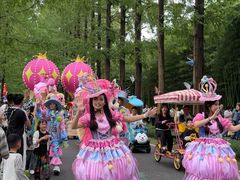 -黄海国家森林公园