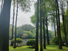 -晓港公园