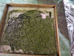 抹茶提拉米苏-末上CAKE