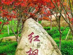 -广州市帽峰山景区