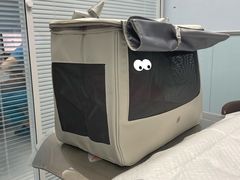 -纳吉亚猫专科动物诊疗中心(蒋宅口分院)