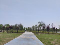 -春花秋色城市公园