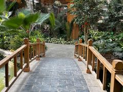 -南宫五洲植物乐园