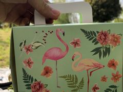 -天王浮山樱花园