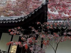 -山塘街