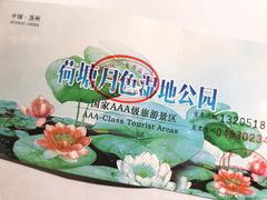-荷塘月色湿地公园·向阳花洲