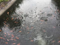 -新地休闲农场