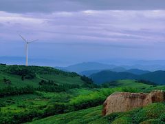 -东白山