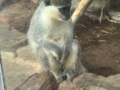 -泉州海丝野生动物世界