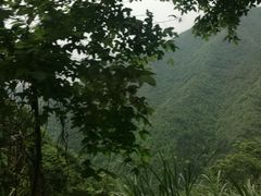 -遂昌金矿国家矿山公园
