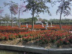 -广东花都香草世界旅游度假区