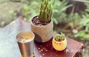 Roasted Coconut Iced Latte