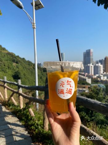 自制 让人睡不着觉 的鸭屎香柠檬茶 今天开始嚯嚯我爸
