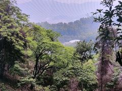 -火炉山森林公园