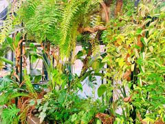 -北马山庄植趣咖啡