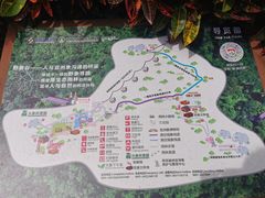 -野象谷景区